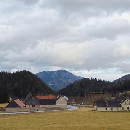 Haus Schweighofer Lejlighed Neuberg an der Mürz Eksteriør billede